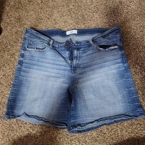 BKE Payton shorts size 36